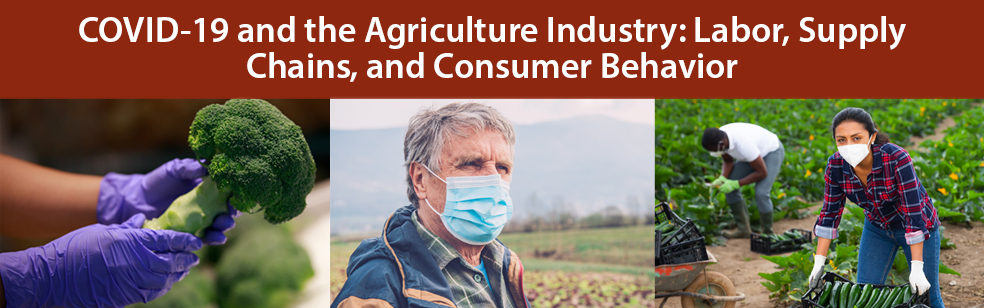 COVID-19 and the Agriculture Industry: Labor, Supply Chains, and Consumer Behavior