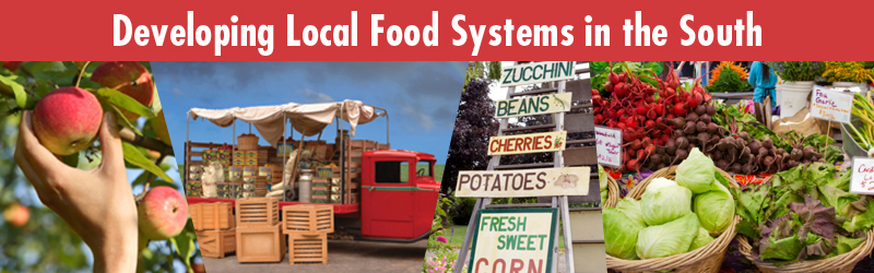 Developing Local Food Systems in the South