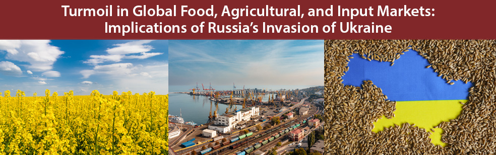 Turmoil in Global Food, Agricultural, and  Input Markets: Implications of Russia’s Invasion of Ukraine 